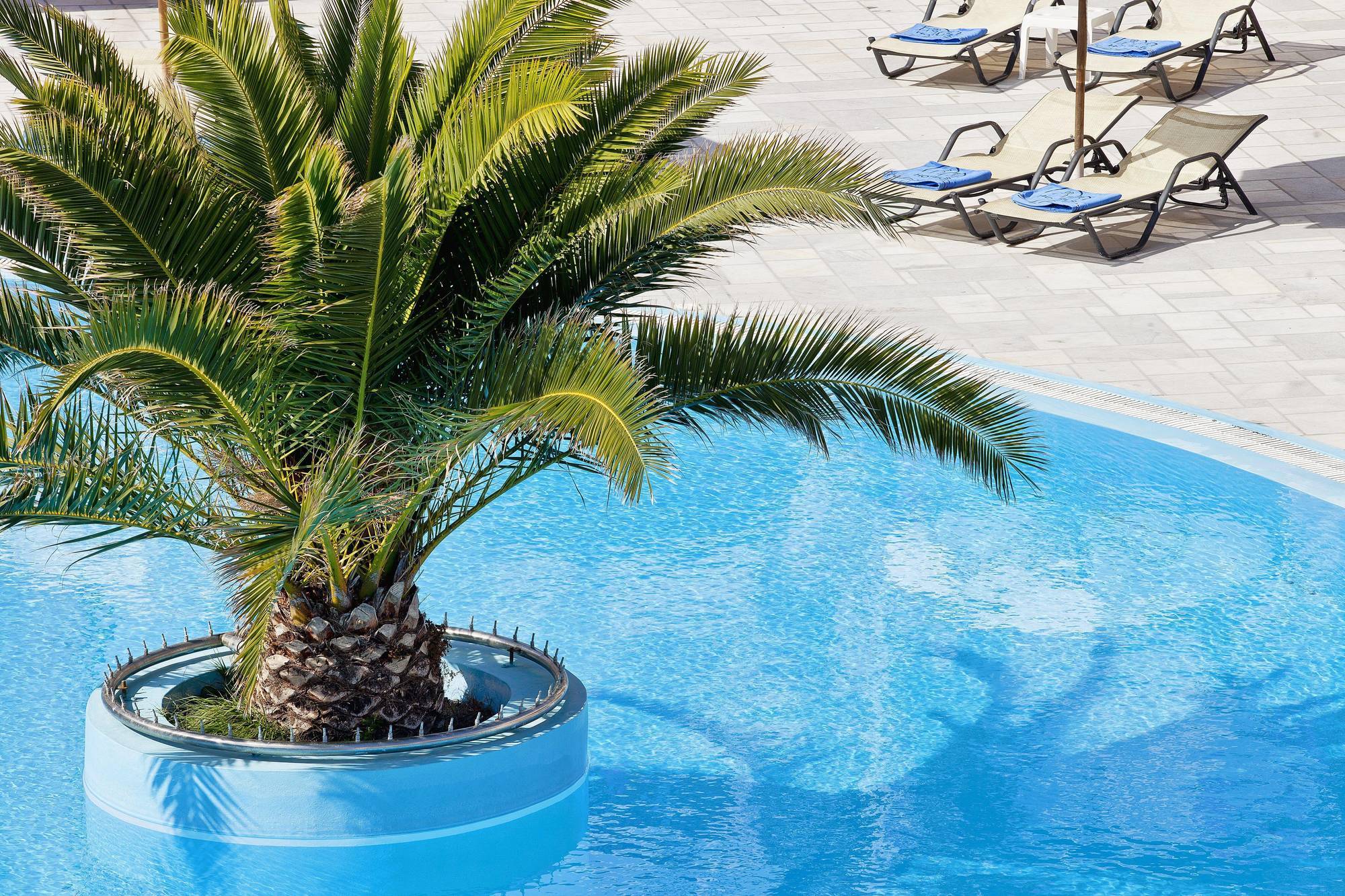 Aegean Plaza Hotel Камари Экстерьер фото